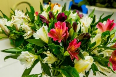 Тематическое фото ИА EAOMedia