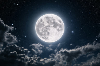 Ущерб Близнецов, борьба Львов и успех Рыб: подробный гороскоп на 4 апреля