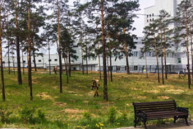 В Улан-Удэ обработка от клещей начнётся с 6 апреля администрация г. Улан-Удэ