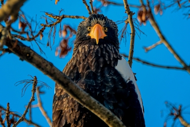 Тематическое фото Мария Смитюк, ИА PrimaMedia