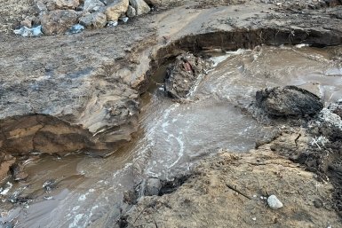 6055603.jpg?dccd703e0d741aa33279837891eca21f