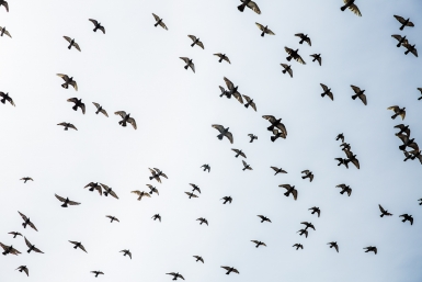 В Улан-Удэ объявлено штормовое предупреждение