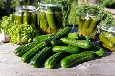 Эти огурцы — просто сказка: Топ-4 сорта, что идут на ура и в салат, и в банку — после 1 укуса забудете про магазинные навсегда