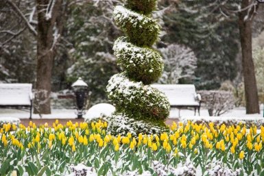 Снег с дождём и минусовая температура: в какие регионы России возвращается зима
