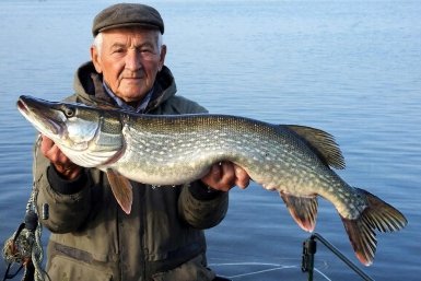 Весна пришла - и щука проснулась: секреты клёва хищницы