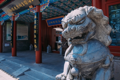 Два дня болезней и звезда удачи: китайский гороскоп с 6 по 12 апреля назвал даты, когда можно всё, а когда — ничего