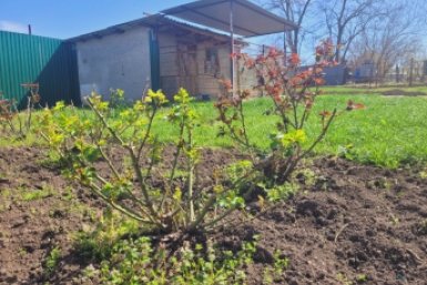 Вводят для всех, у кого есть свой дом или дача - жесткие новшества с 5 апреля