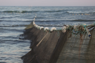 Тематическое фото Владислав Беляцкий, ИА SakhalinMedia