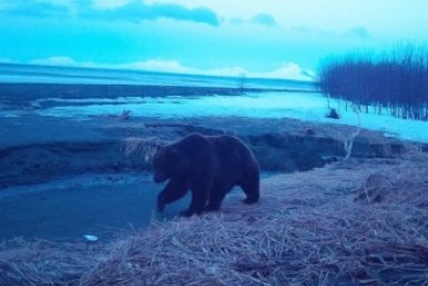 Новость дня