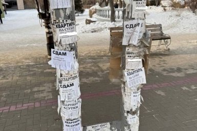 6056751.jpg?8864a438d854c9d53fbf619bd8c3da75