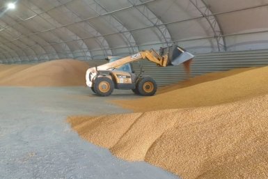 Свыше 185 тысяч тонн зерновой продукции за март оформили на экспорт из Приморья Приморское межрегиональное управление РСХН