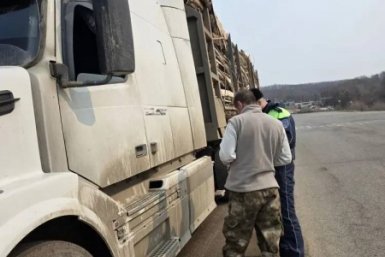 Госавтоинспекция Приморья нашла более сотни нарушений грузовиков