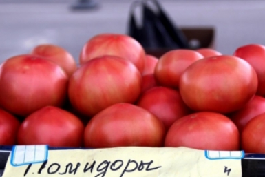 Не томат, а мечта ленивого дачника: ультраранний сорт, который зреет сам по себе даже в "поганое" лето — и не требует пасынкования