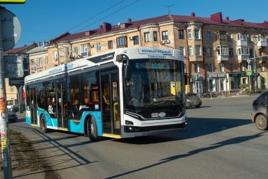 142 "зайца" за один день у метро в Москве