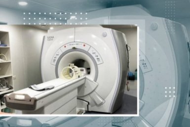 Новость дня