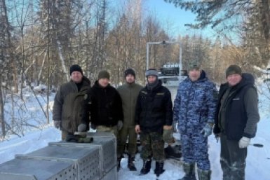 Тематическое фото ФОТО: Пресс-служба управления охотничьего хозяйства Правительства Хабаровского края