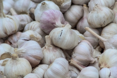 Названы продукты, которые одновременно улучшают пищеварение и борются с бактериями