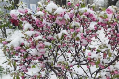 Гороскоп на неделю: Энергия будет переливаться через край Артём Хорошилов  , ИА Stavropol.Media