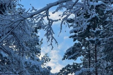 Гороскоп на 6 апреля:Близнецы осторожны с финансами,Козерог внимателен к мелочам ИА YakutiaMedia