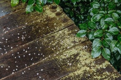 Циклон принёс дожди и ветер в начале новой рабочей недели в Приморье