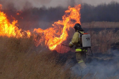 До 30 раз в день выезжают на тушение сухой травы и мусора пожарные подразделения ЕАО