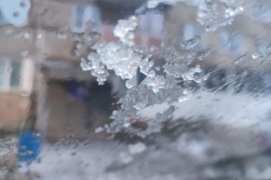 Пока вы спали: пожар в ТЦ, ГОСТ на сетки, достойное бегство и спасенные кошки Куклачева