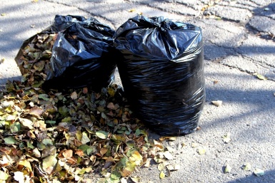 Субботник Ольга Брютова, ИА UssurMedia