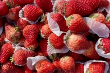 Клубника Тг-канал (18+) &quotГород Чита&quot