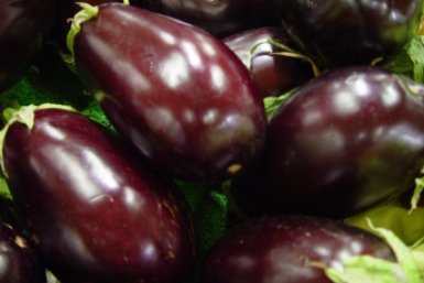 Вместо обычных сажаю необыкновенные баклажаны— 3 сорта на весну: мясистые, неприхотливые, а урожая будет хоть отбавляй