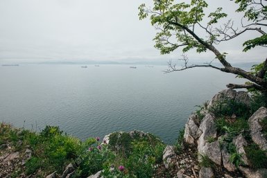 Погодные качели: какой будет первая полная неделя апреля в Приморье