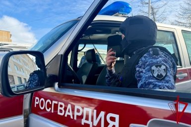 Новость дня