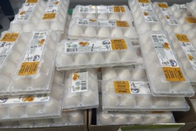 Новость дня