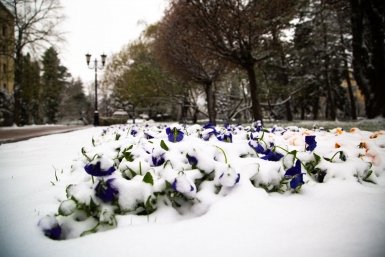 Москву через несколько дней ждут заморозки и мокрый снег