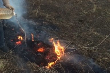 Пять поджигателей оштрафовали на 100 тысяч рублей за несколько дней в ЕАО