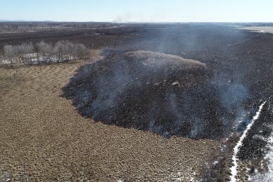 Семь лесных пожаров на площади 104 тысячи га действуют в ЕАО