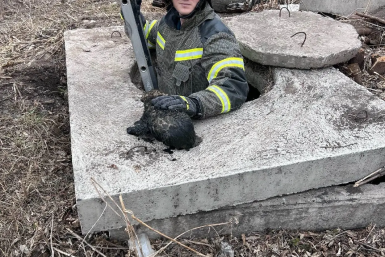 . пресс-служба ГУ МЧС России по Красноярскому краю