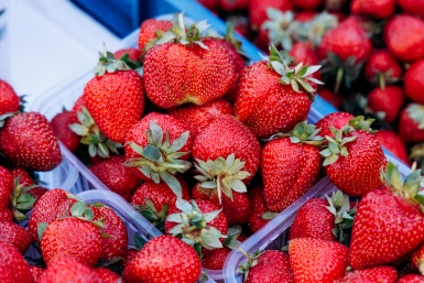 Тематическое фото Евгений  Кулешов, ИА PrimaMedia