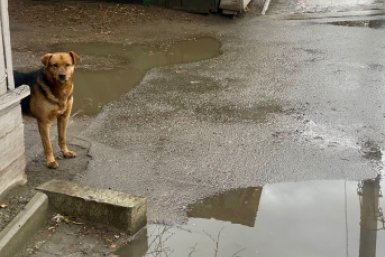 Дождь пройдет в Иркутске 7 апреля