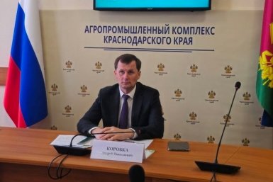 Суд принял иск об изъятии активов вице-губернатора Кубани Коробки и его семьи