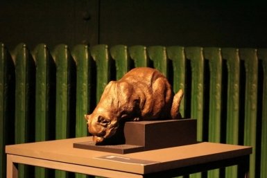 Кошачья грация в фарфоре и фотографиях: новая выставка открылась в Приморье