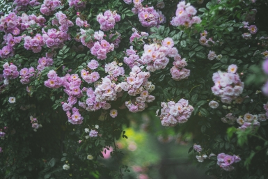 Гороскоп на 7 апреля: Бодрость лучше направить на завершение начатого Мария Смитюк, ИА PrimaMedia