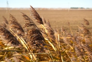 Омск, осень, природа Евгений Овдеенко, ИА OmskMedia