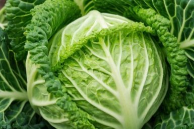 Капуста растит листья, а кочаны не "вяжет" - угощаю её 1 вкусняшкой, и вопрос решён