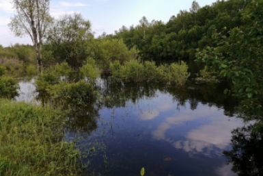 Путин дал важное поручение в связи с наводнениями в Дагестане