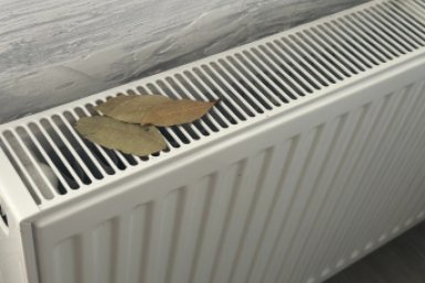 С первым теплом кладу лист лаврушки под батарею: вот как влияет на быт - близкие ценят