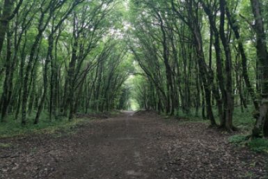 Показаны фото с места, где найден чемодан с трупом мужчины в Москве