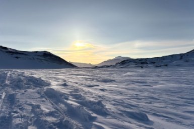 Новость дня