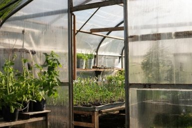 Хватит мучиться с поликарбонатом: этот материал для теплицы не трескается и не мутнеет - почему все садоводы в восторге от новинки