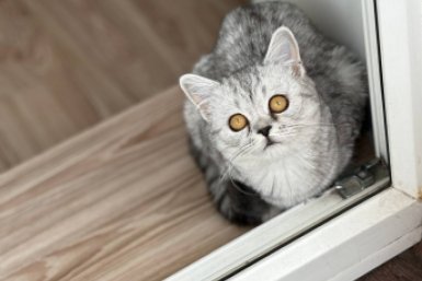 Тематическое фото ИА AmurMedia