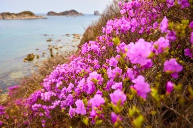 До +16 градусов: в отдельных районах Приморья значительно потеплеет